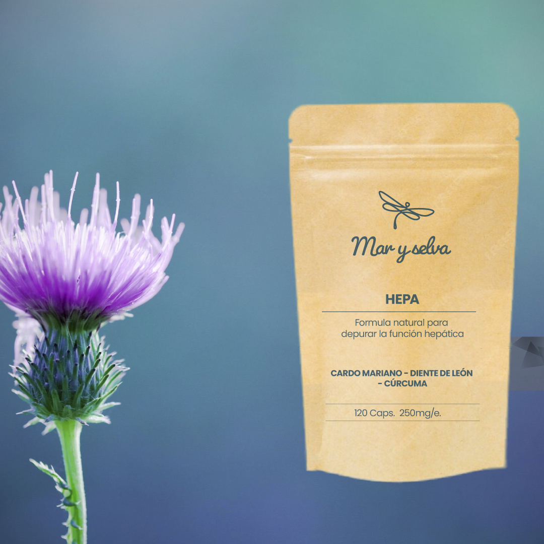 HEPA - Función hepática